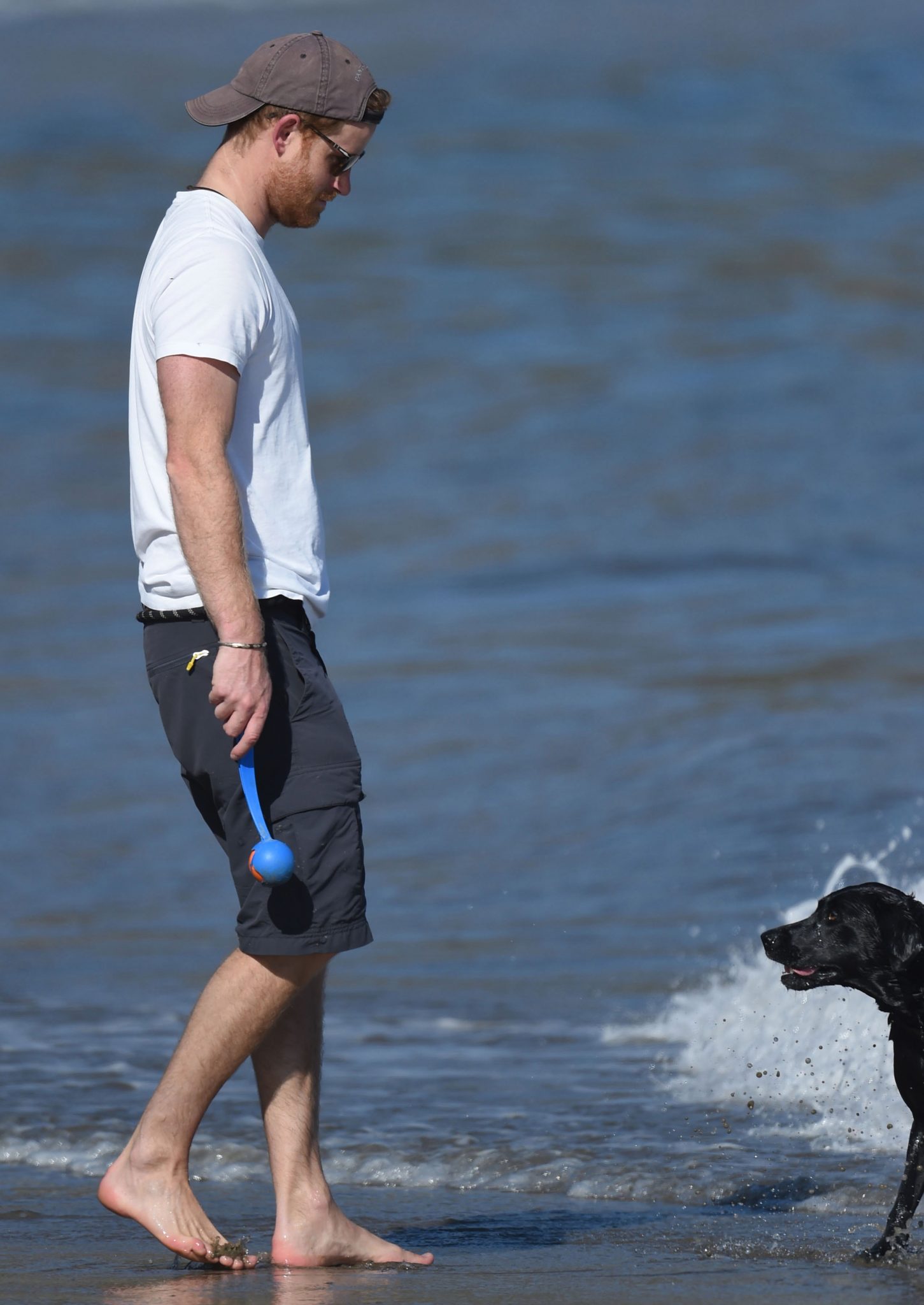Prince Harry walks dog at the beach in Santa Barbara - Fun & all